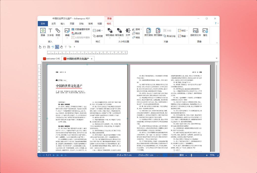 Ashampoo PDF Pro 5 Professional PDF Document Management and Editing Software截图