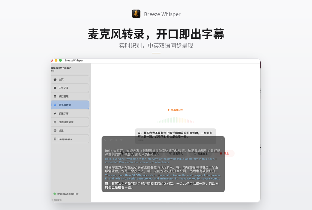 BreezeWhisper Pro 语音识别音视频转文字工具软件截图