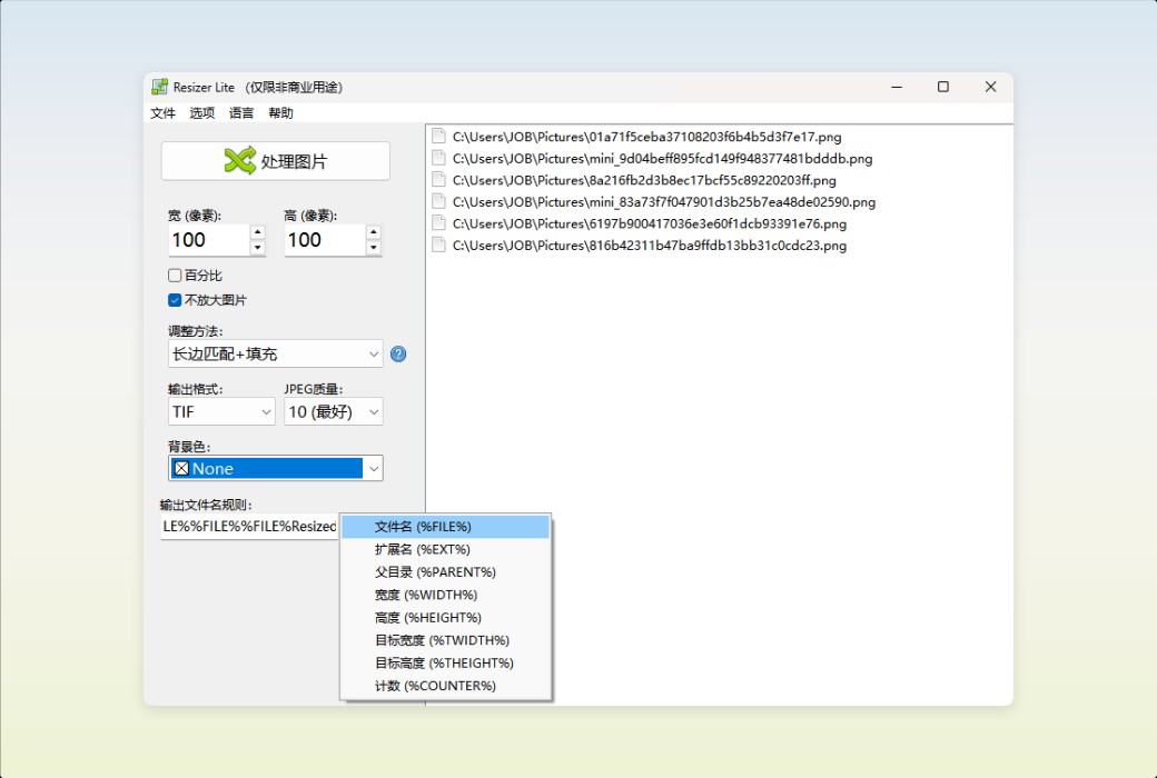 Den4b Resizer Image Batch Processing and Format Conversion Tool Software截图