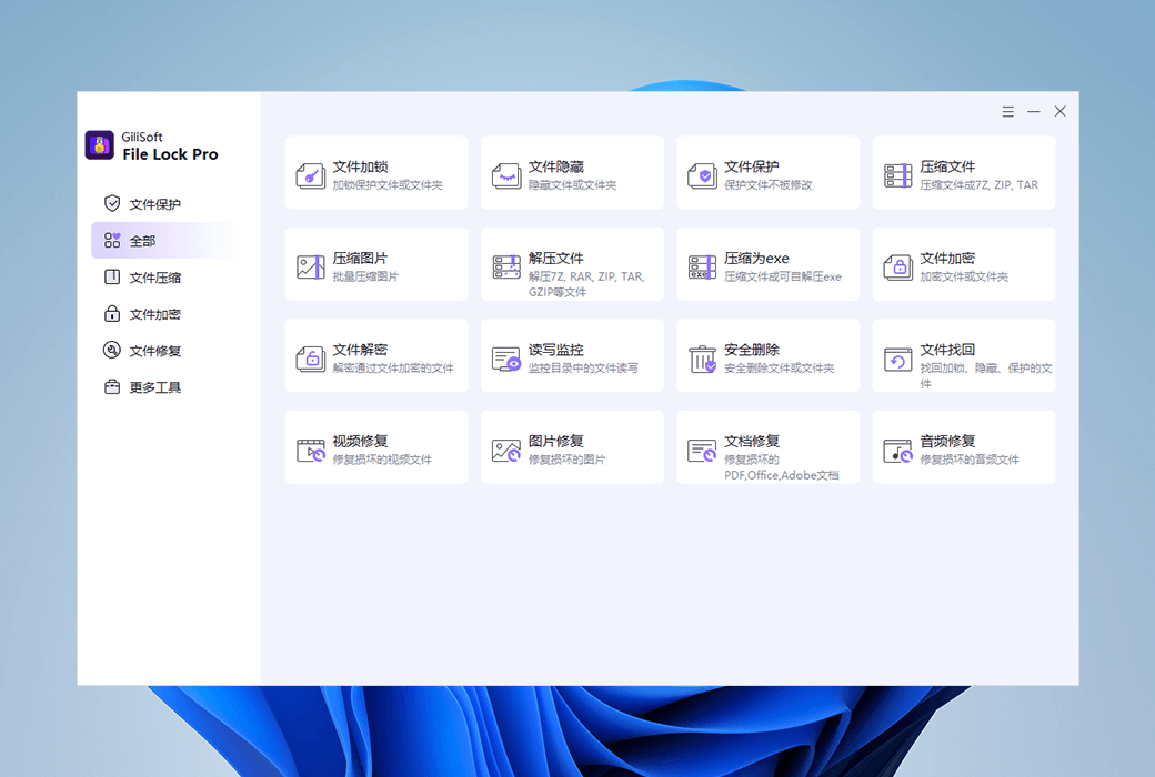 Gilisoft File Lock Pro 文件加密与保护工具软件截图