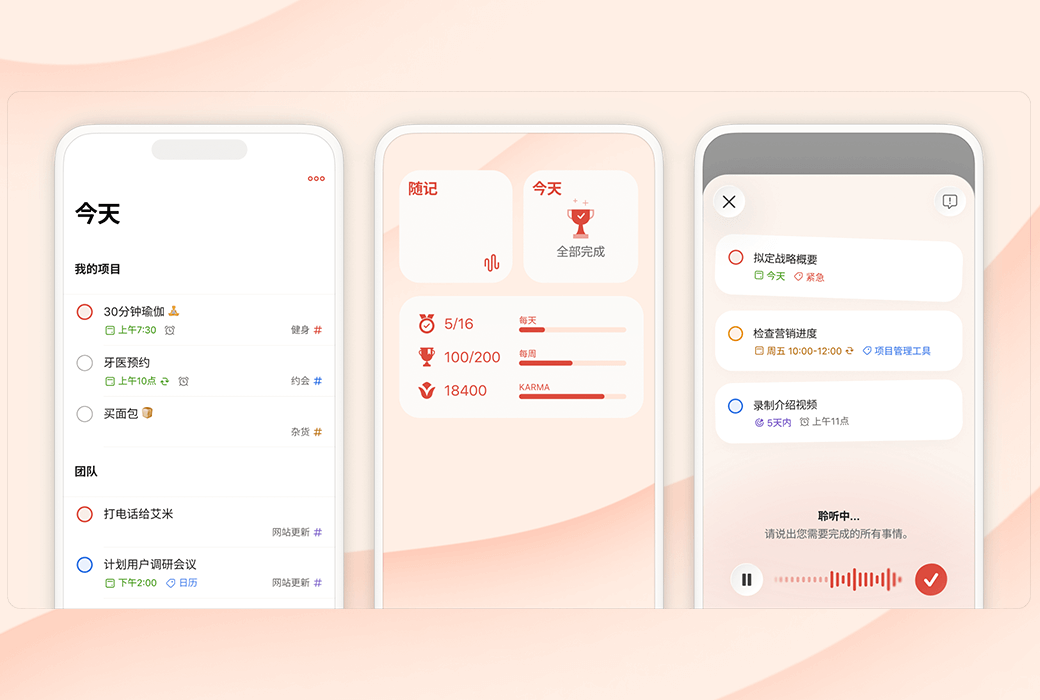 Todoist Work&Life Task Planning and Management Tool Software截图