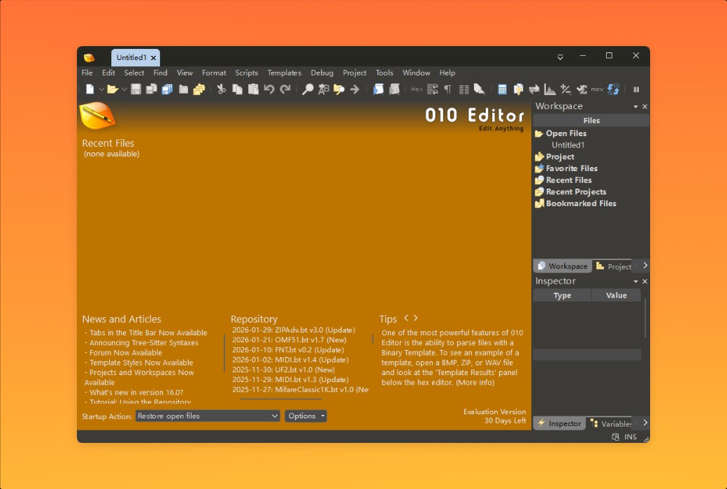 010 Editor Pro Text and Hexadecimal Editor Software截图