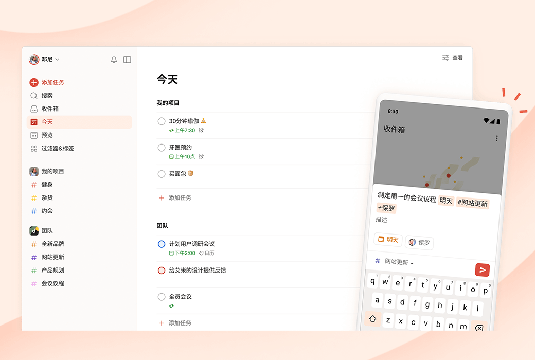 Todoist Work&Life Task Planning and Management Tool Software截图