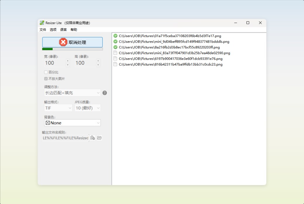 Den4b Resizer Image Batch Processing and Format Conversion Tool Software截图