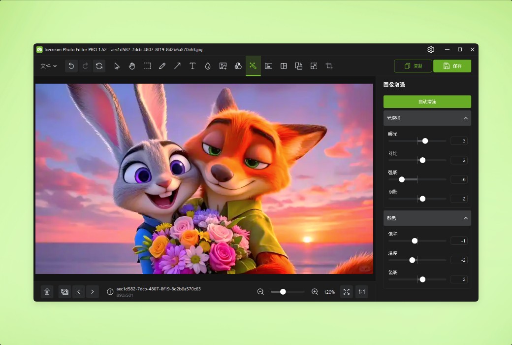 Icecream Photo Editor photo editing and management tool software截图