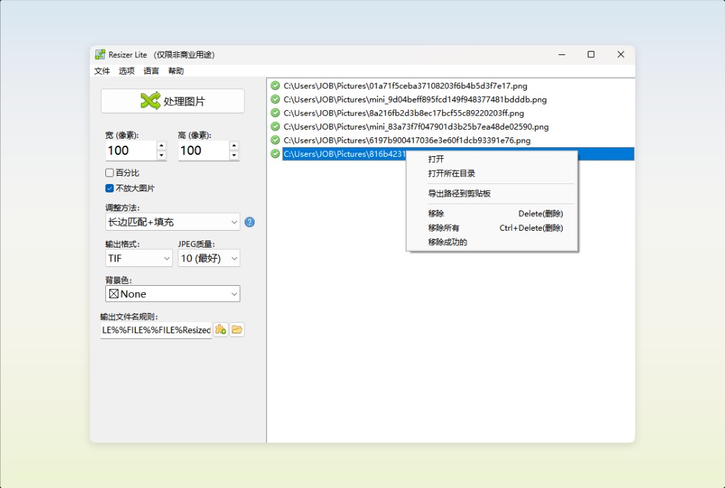 Den4b Resizer Image Batch Processing and Format Conversion Tool Software截图