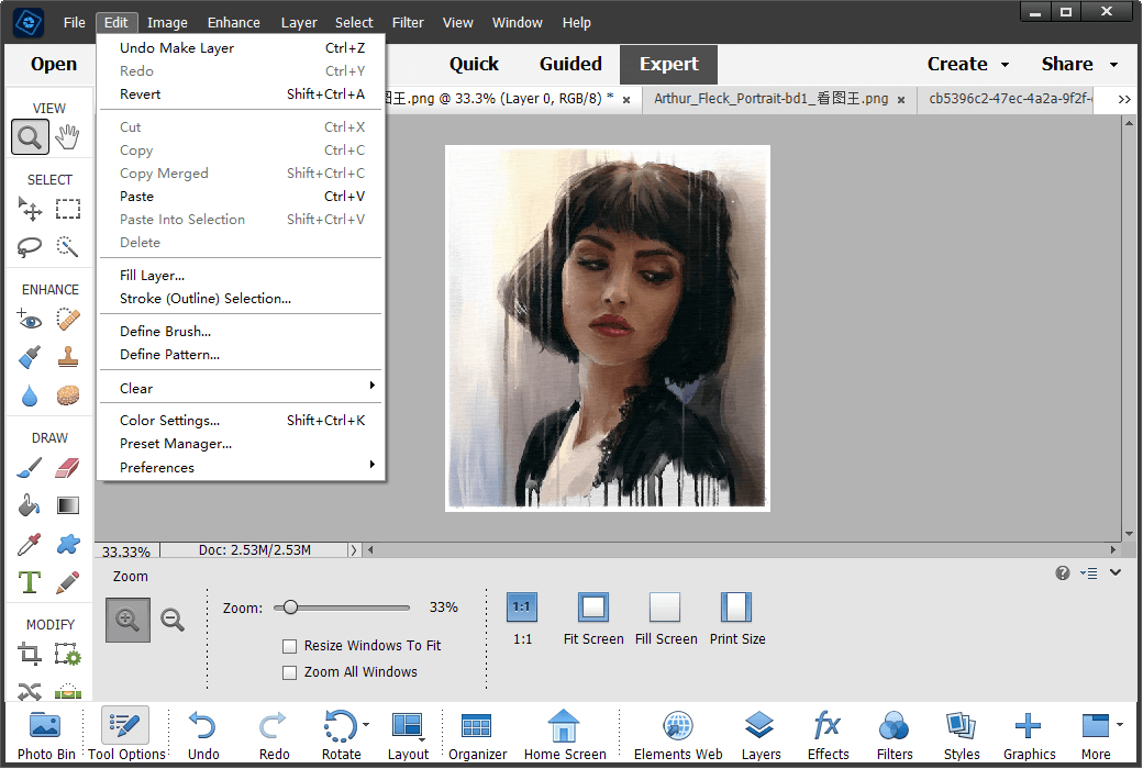 Adobe Photoshop Elements 2024 图片编辑工具软件截图