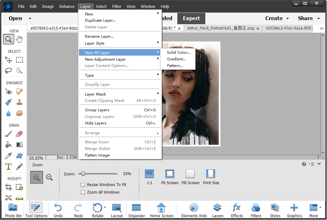 Adobe Photoshop Elements 2024 Image Editing Tool Software截图