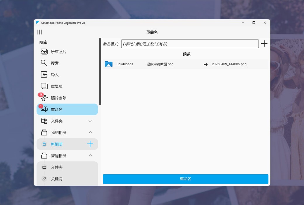 Ashampoo Photo Organizer Pro 26 Photo Management Tool Software截图