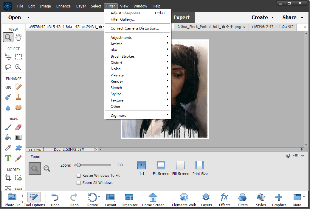 Adobe Photoshop Elements 2024 Image Editing Tool Software截图