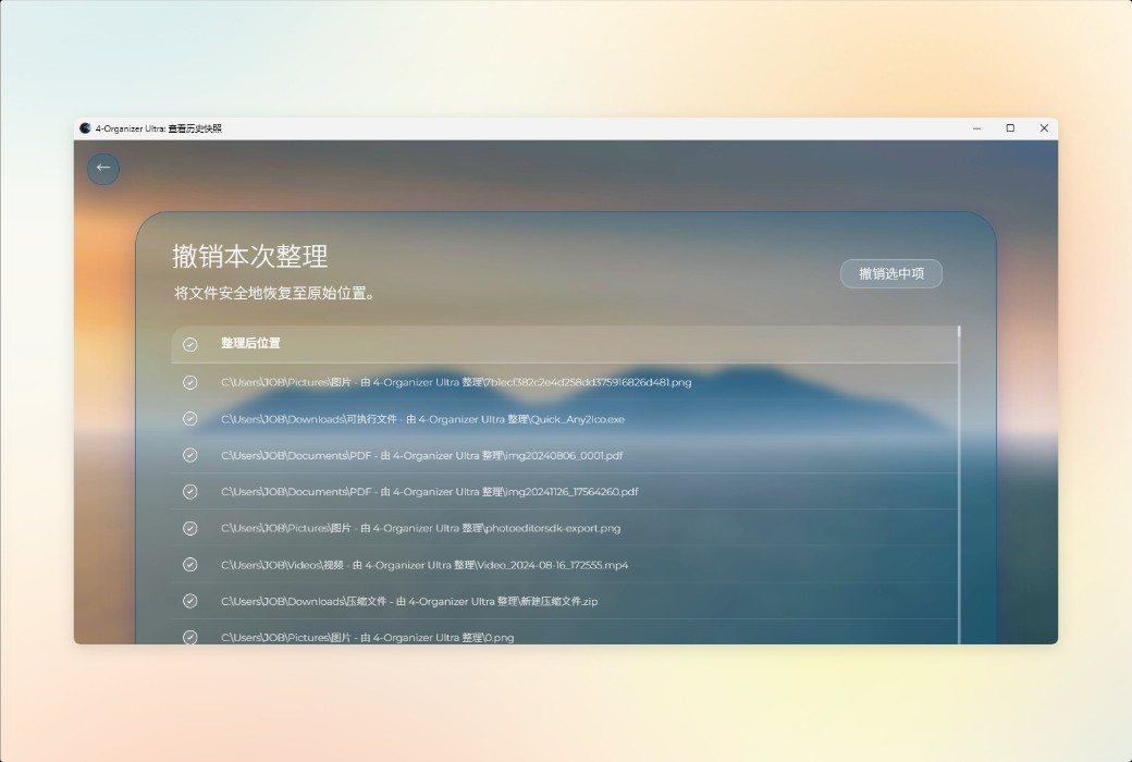 4-Organizer Ultra AI-driven computer optimization and maintenance tool software截图