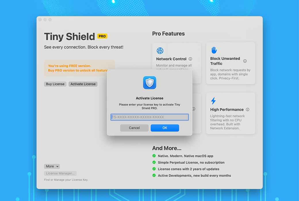 🛡️ Tiny Shield：守护网络，掌控流量