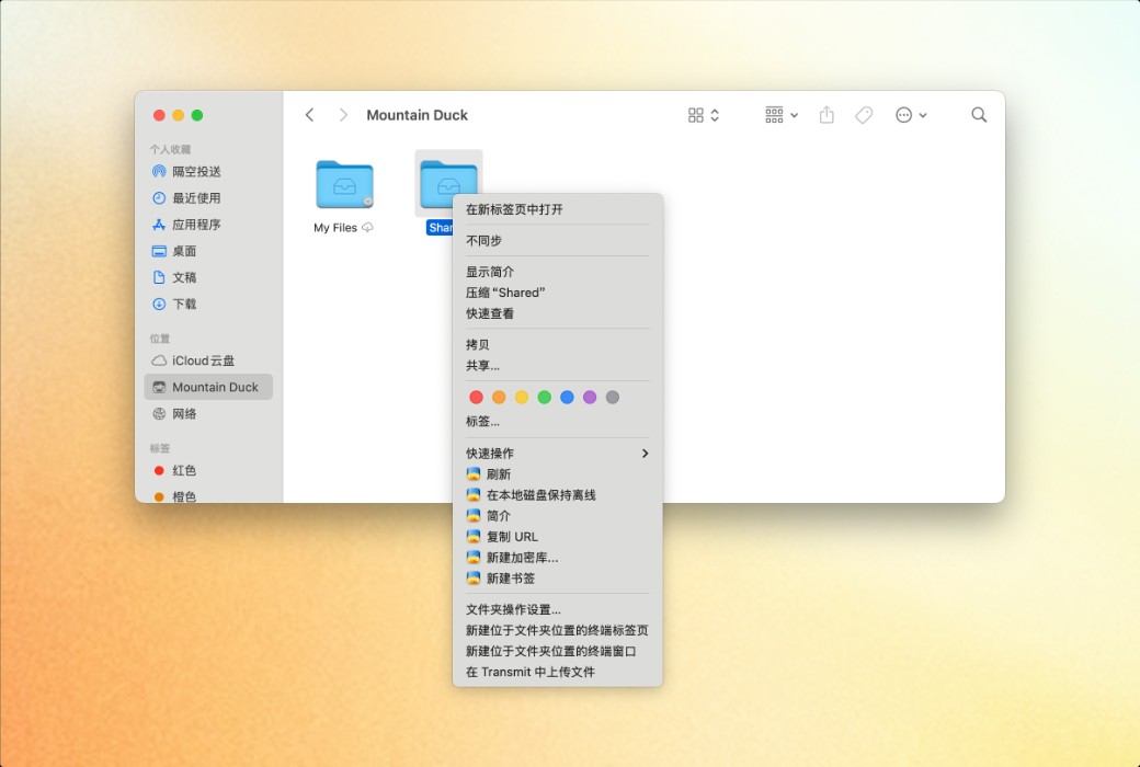Mountain Duck 云盘挂载工具软件截图