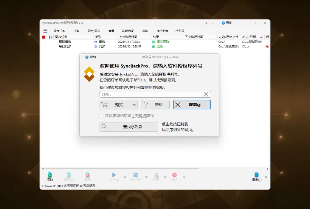 SyncBackPro 12 专业数据备份与同步工具软件截图