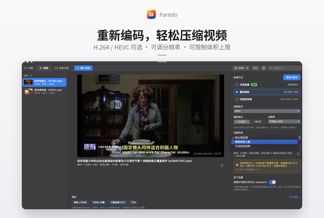Formlo 视频字幕制作翻译与格式转换工具软件截图