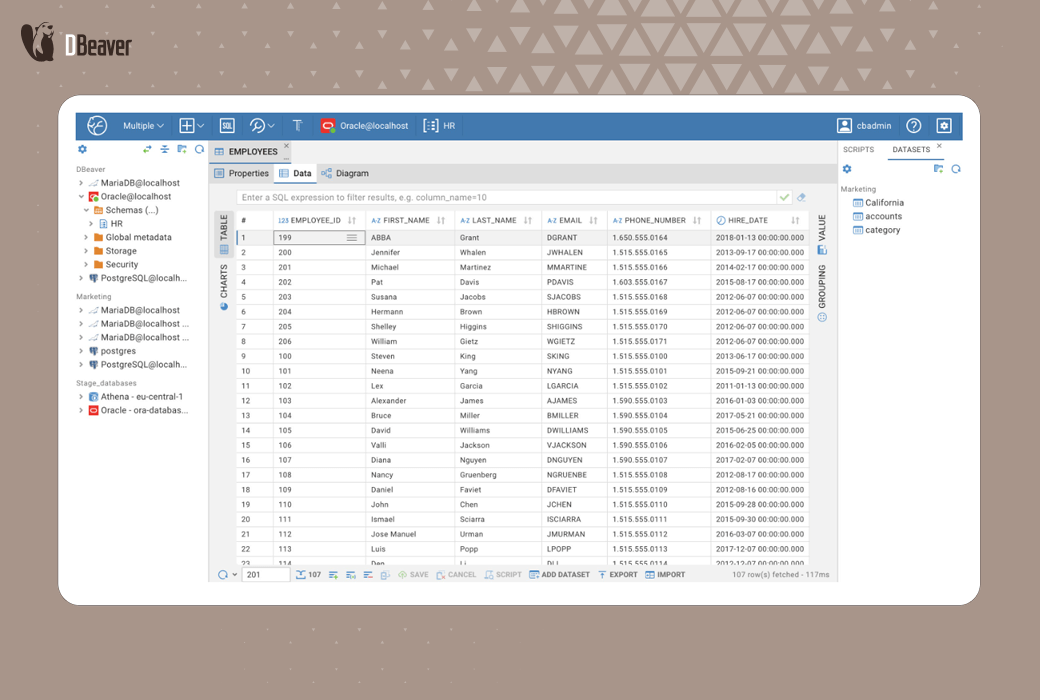 DBeaver Team Desktop Database Management Tool Software截图