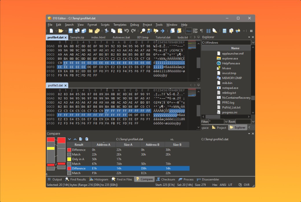 010 Editor Pro Text and Hexadecimal Editor Software截图