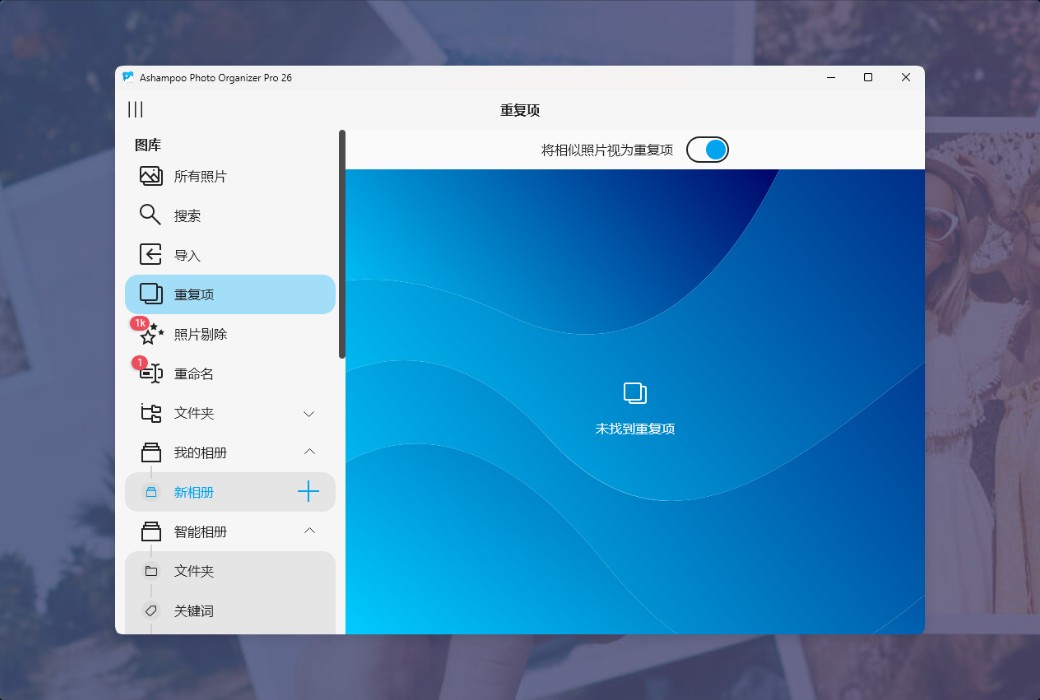 Ashampoo Photo Organizer Pro 26 Photo Management Tool Software截图