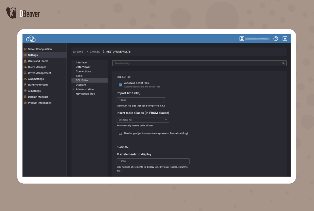 CloudBeaver Enterprise 웹 데이터베이스 온라인 관리 플랫폼截图