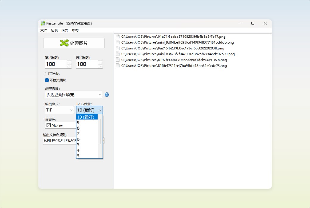 Den4b Resizer Image Batch Processing and Format Conversion Tool Software截图