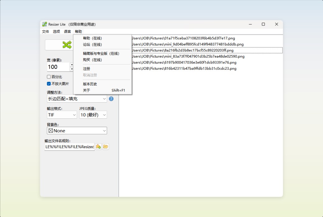 Den4b Resizer Image Batch Processing and Format Conversion Tool Software截图
