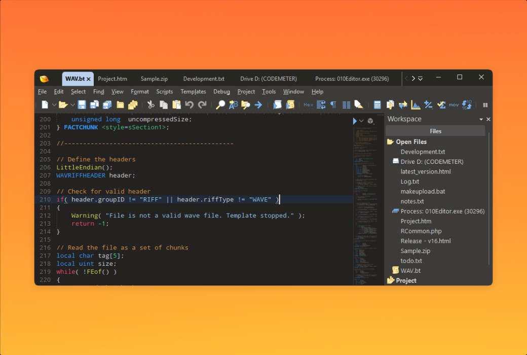 010 Editor Pro Text and Hexadecimal Editor Software截图