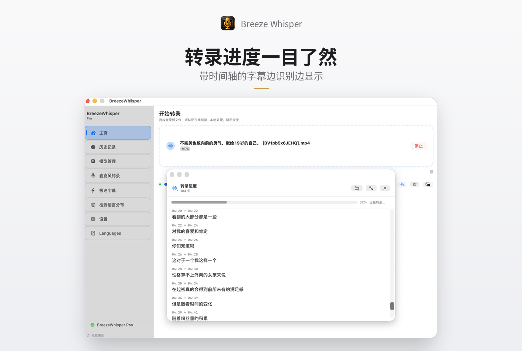 BreezeWhisper Pro 语音识别音视频转文字工具软件截图
