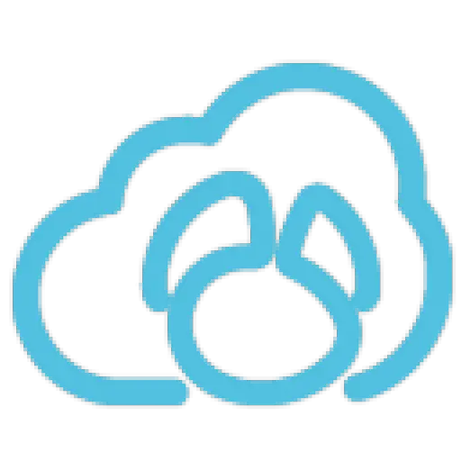 <font color='#2E6ED5'>Navicat</font> Cloud Cloud Collaborative Sharing System