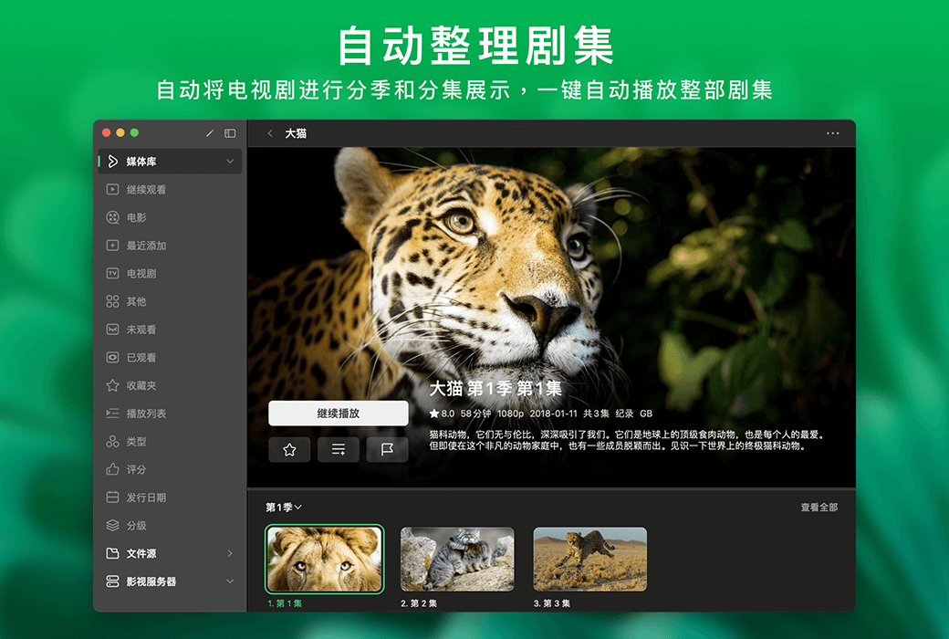 VidHub full platform cloud storage video player software截图
