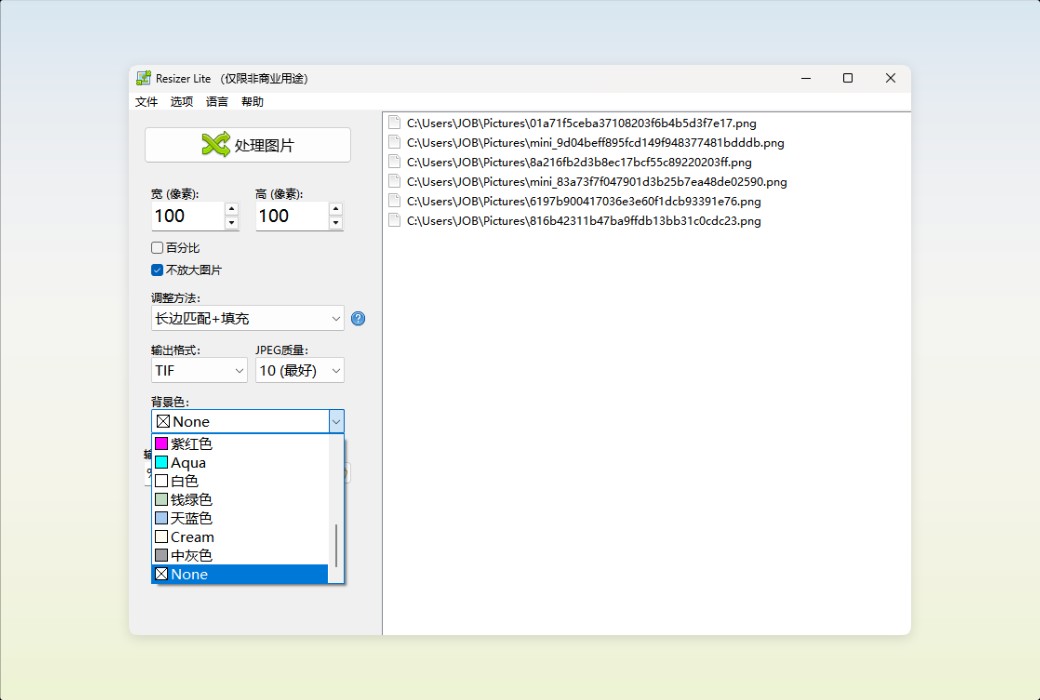 Den4b Resizer Image Batch Processing and Format Conversion Tool Software截图