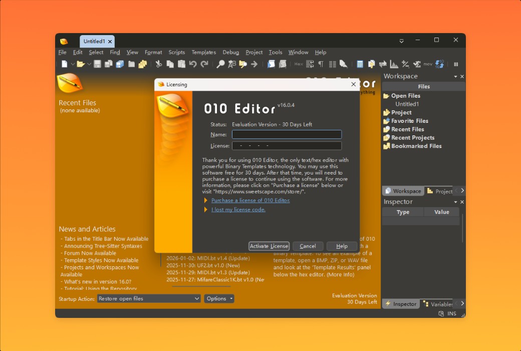 010 Editor Pro Text and Hexadecimal Editor Software截图