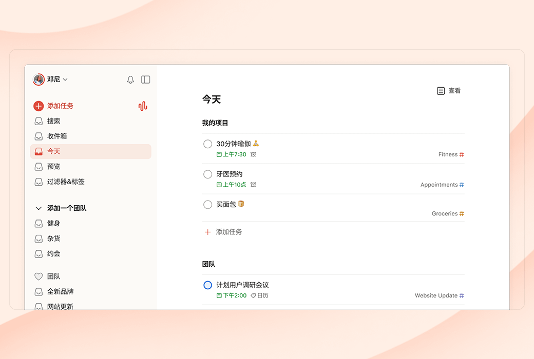 Todoist Work&Life Task Planning and Management Tool Software截图