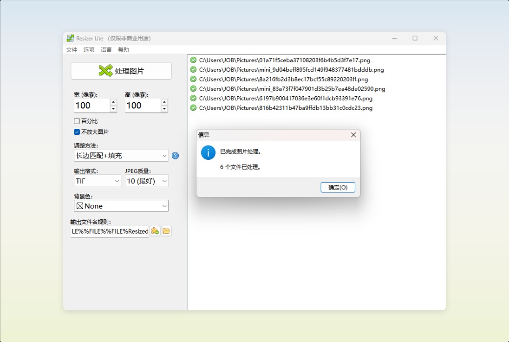 Den4b Resizer Image Batch Processing and Format Conversion Tool Software截图