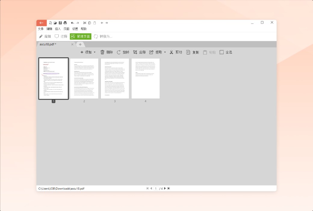 Icecream PDF Candy professional PDF editing and conversion software截图