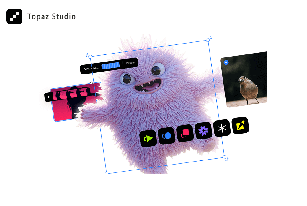 Topaz Studio Bild- und Videoverbesserungssoftware截图