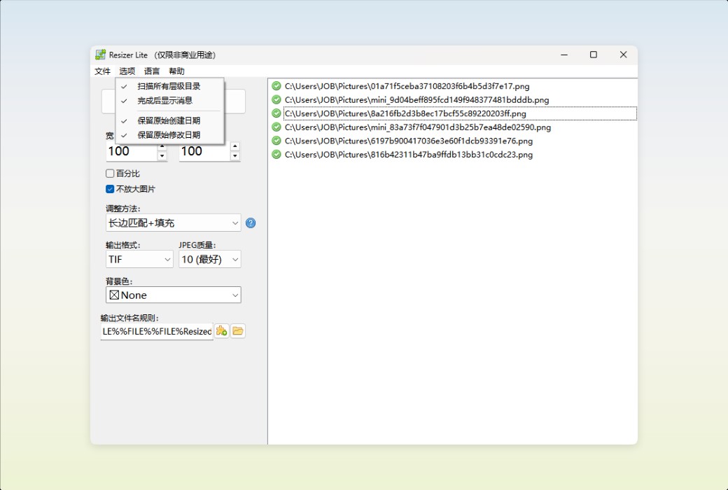 Den4b Resizer Image Batch Processing and Format Conversion Tool Software截图