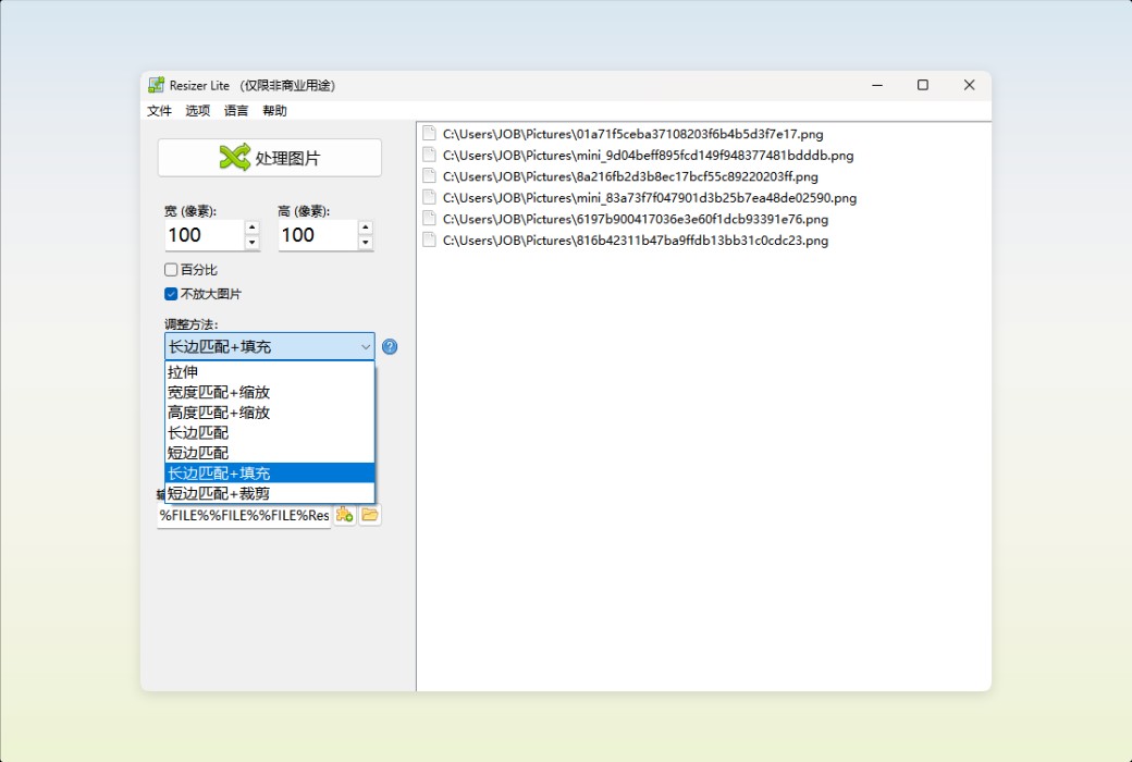 Den4b Resizer Image Batch Processing and Format Conversion Tool Software截图