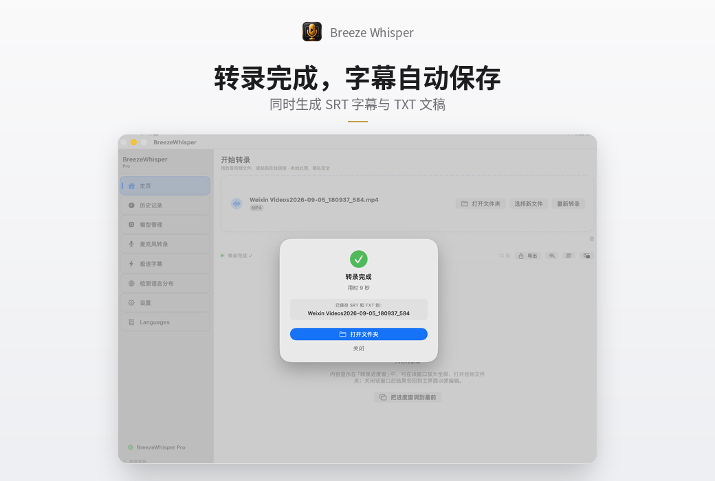 BreezeWhisper Pro 语音识别音视频转文字工具软件截图