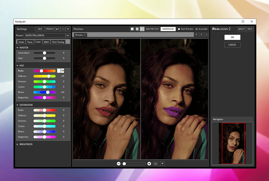 Realgrain 2 PS professional color palette plugin tool software截图