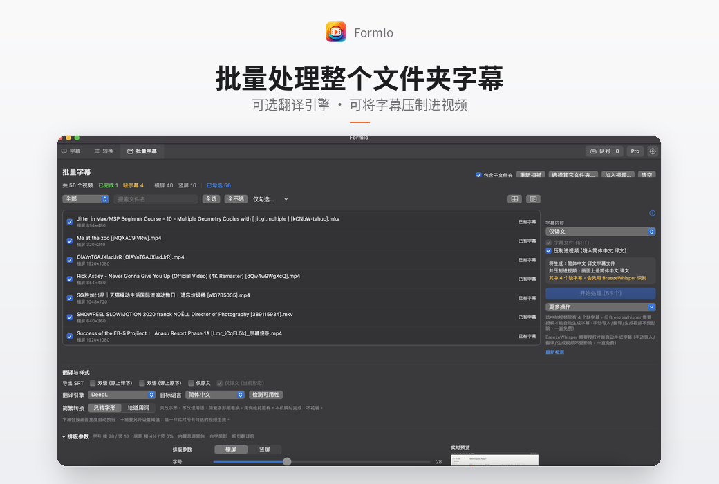 Formlo 视频字幕制作翻译与格式转换工具软件截图