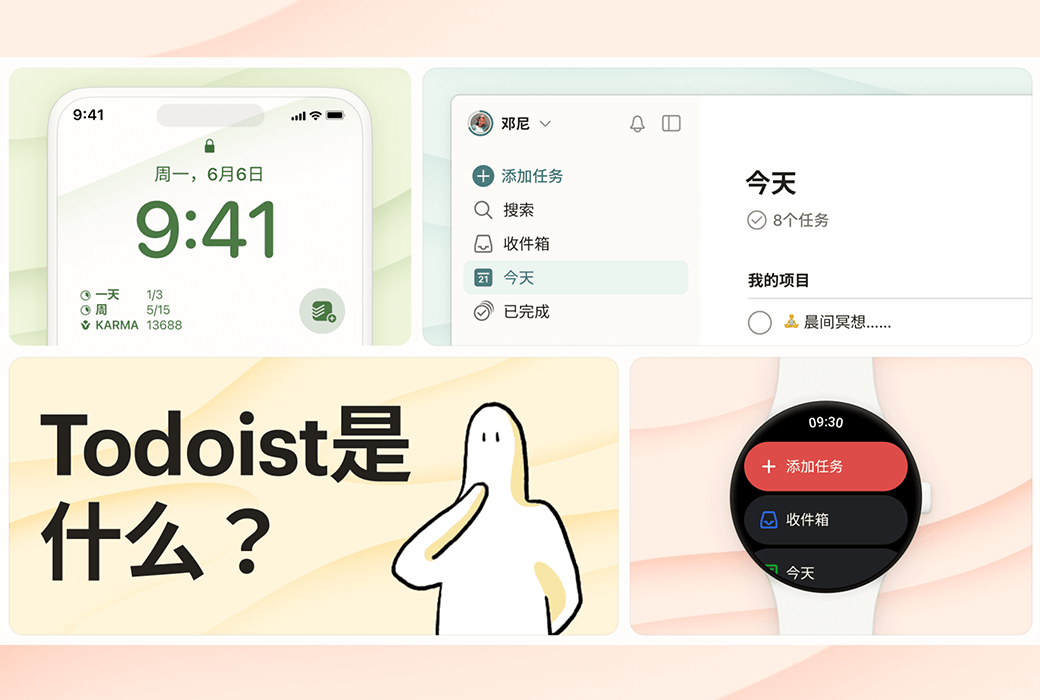 Todoist Work&Life Task Planning and Management Tool Software截图