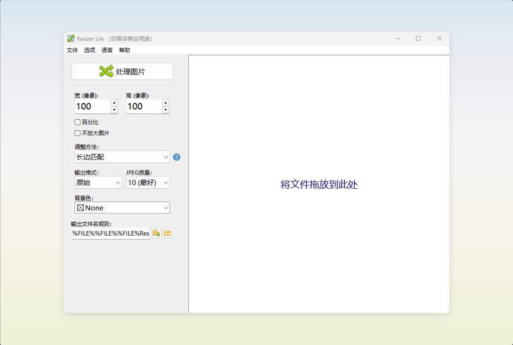 Den4b Resizer Image Batch Processing and Format Conversion Tool Software截图