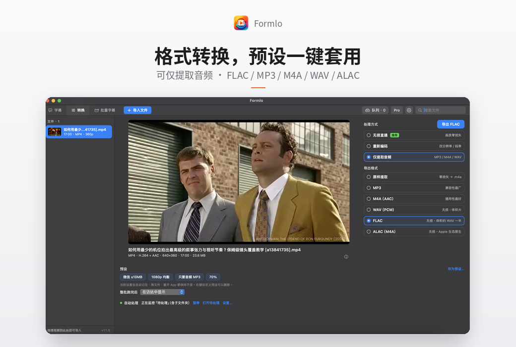 Formlo 视频字幕制作翻译与格式转换工具软件截图