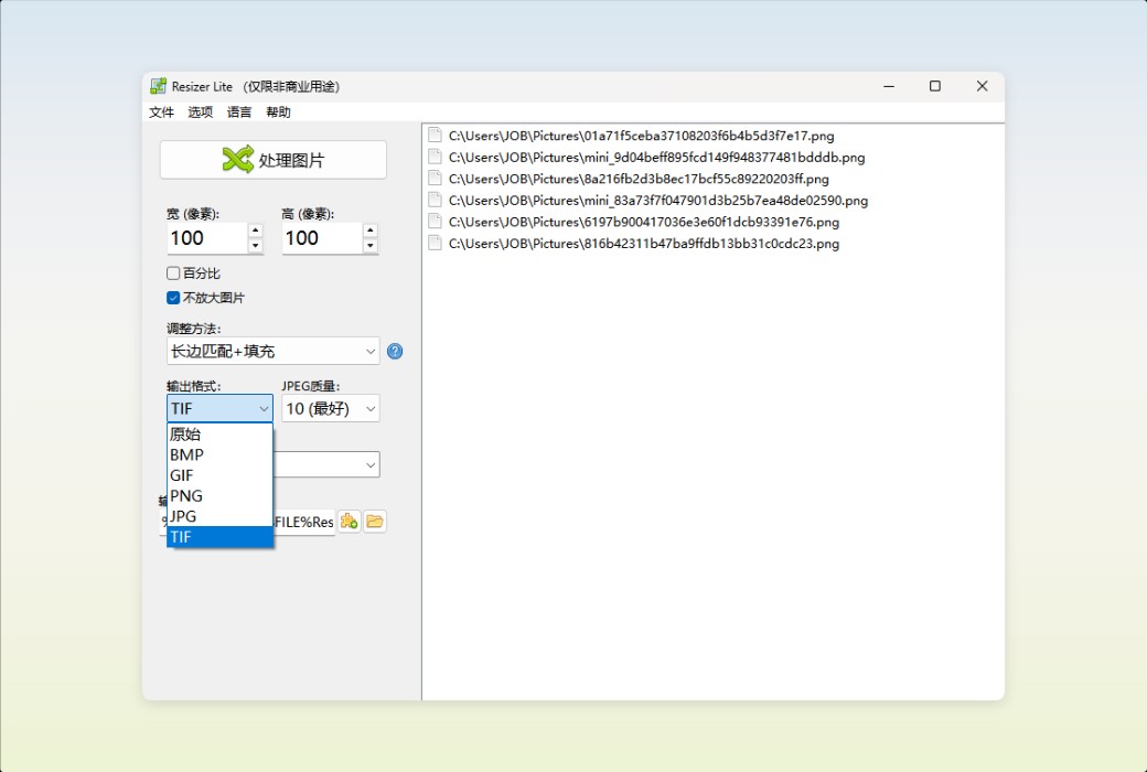 Den4b Resizer Image Batch Processing and Format Conversion Tool Software截图
