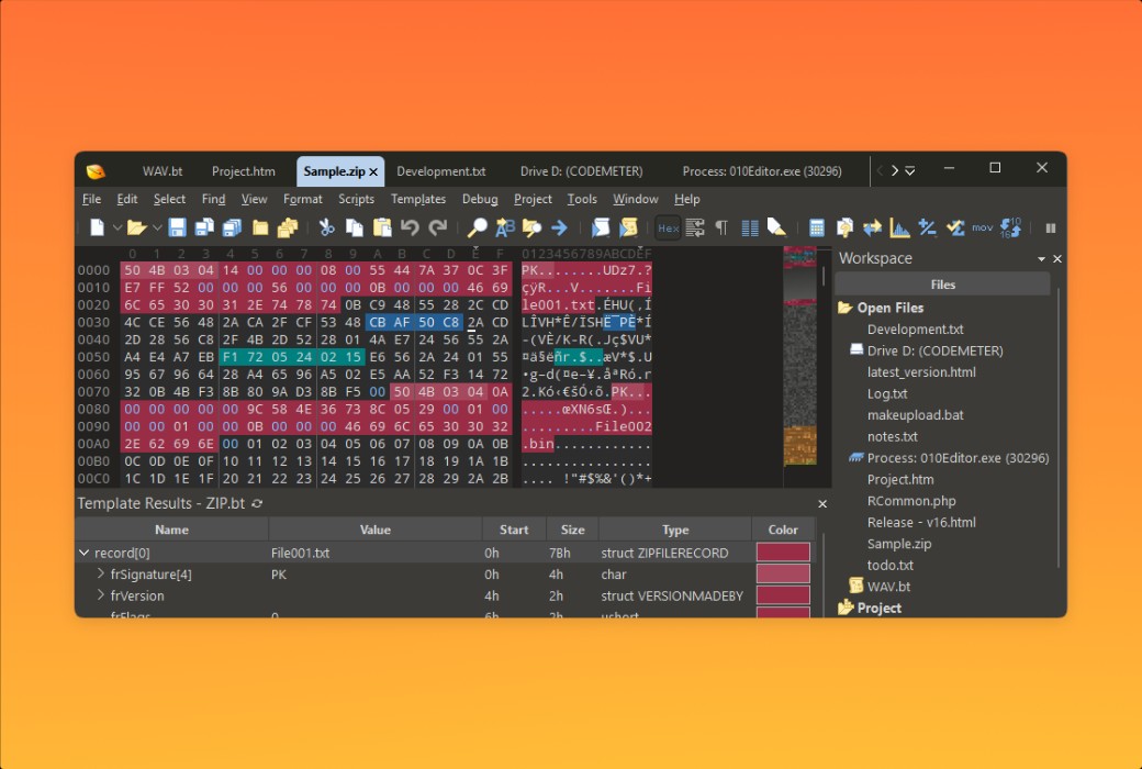 010 Editor Pro Text and Hexadecimal Editor Software截图