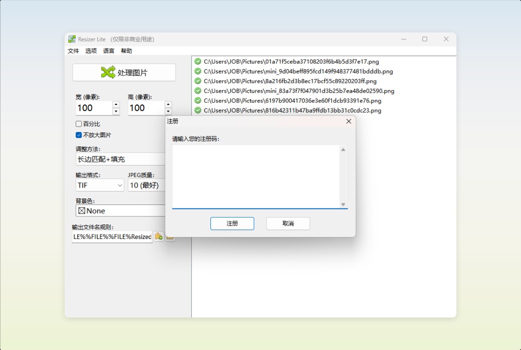 Den4b Resizer Image Batch Processing and Format Conversion Tool Software截图