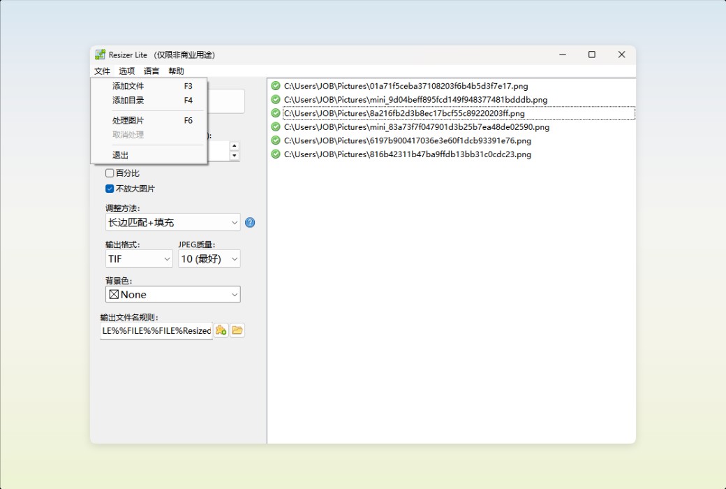 Den4b Resizer Image Batch Processing and Format Conversion Tool Software截图